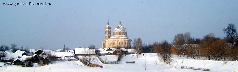 Касимовский район, Гусь-Железный - Панорамный вид Троицкой церкви